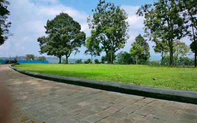 Jasa tukang taman murah dan profesional berbagai konsep taman