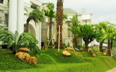 Tukang Taman Bogor | Jasa Tukang Taman Murah Terdekat Bogor 2022