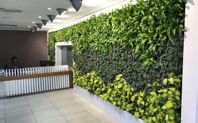 Tukang Taman Vertical Garden Dan Jasa Pembuatan Taman Vertical Murah 081296261109