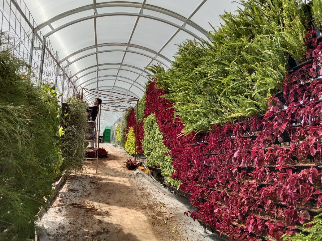 Jasa Vertical Garden di Bandung | Jasa Pembuatan Vertical Garden Terdekat di Bandung