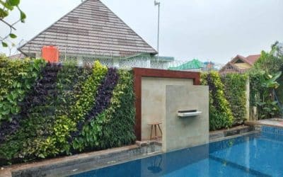 Jasa Vertical Garden | Tukang Vertical Garden Terdekat Jakarta – Mikaila Taman